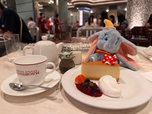 パパがスターツアーズに乗りに行ったので、ママはティータイム🫖
センターストリートコーヒーハウスのチーズケーキも美味しい😋