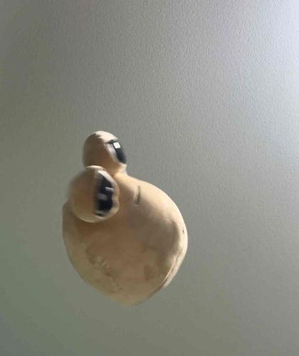 fly