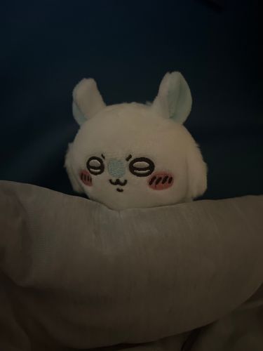 おやすみ💤⭐