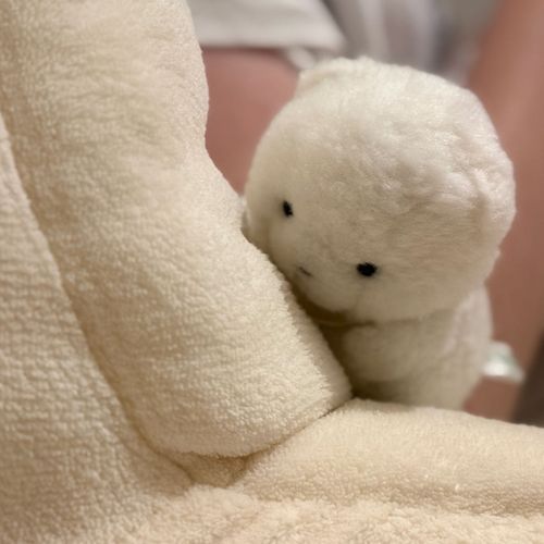 どこお？