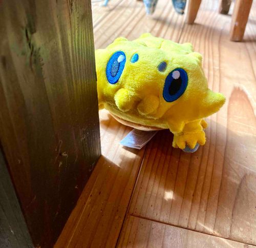 こっそり狙い中…⚡️