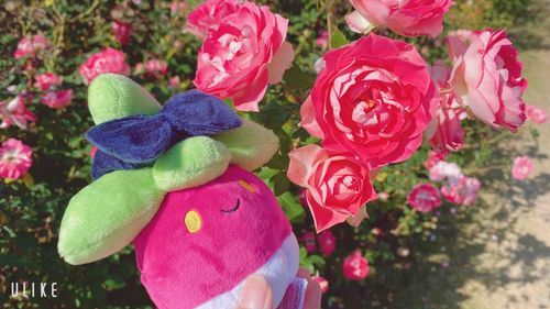いい香りするよね🌹