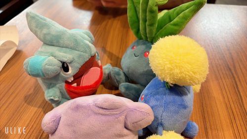 大きなお口を覗く会( ˙Ⱉ˙ )