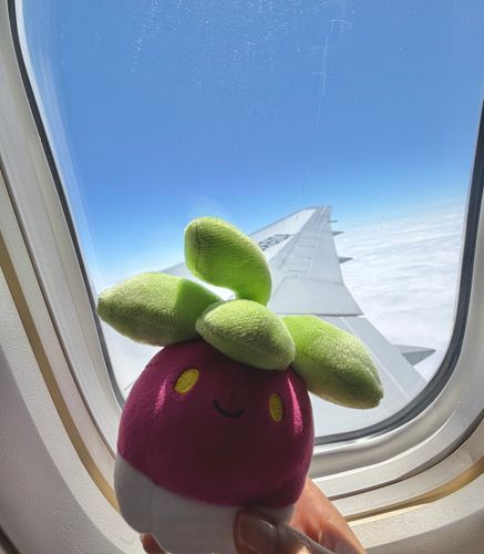 アマカジ！そらをとぶ！