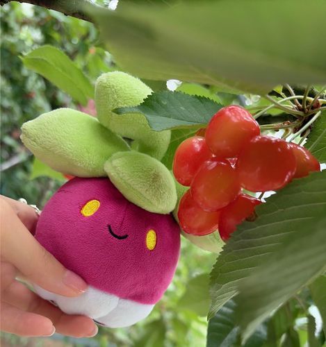 🍒