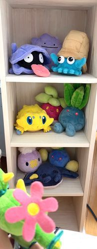 仲間が増えたのでぬいタワー🗼
出逢った順に並べてみた！
新人のマラカッチちゃんはどこ入ろうね？？
