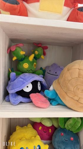 マラカッチちゃんは先輩たちの部屋に♡モンちゃん先輩が隣にいてくれるよ！