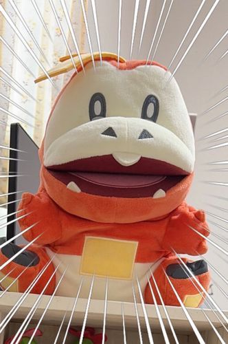 ホゲは大きいので棚の1番上です︎︎👍🏻︎︎