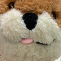 おこめ