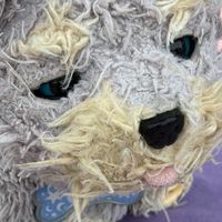 キャンキャン（キャンディー）
