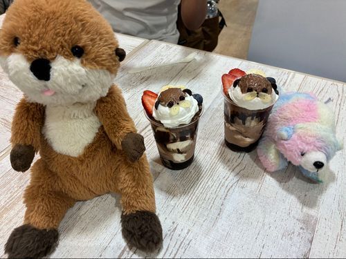 🦫「ﾌｪ…これ、食べる気…？」