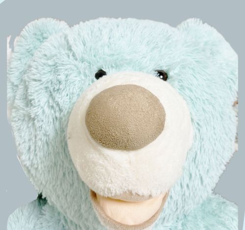🐻「証明写真的なやつとれって言われたから協力してやった！鮭かどんぐりの報酬くれ」