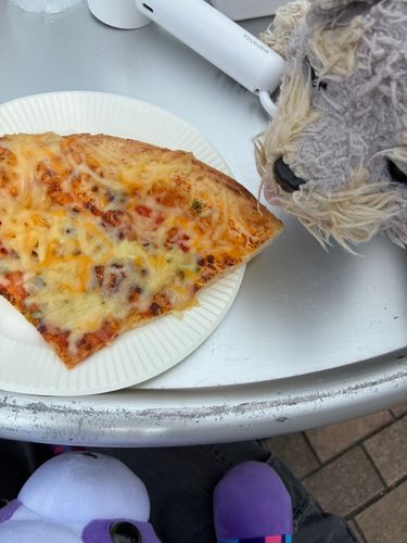 🩶「今日の昼ごはんはピザだきゃん！すっごくおいしかったからみんなにもあげる〜」