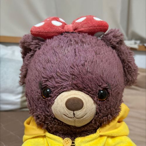 ちゃい っていうなまえ なの
15さいのくま🧸

ぬし はジャニオタらしい
（⛄️、🗝🔥）