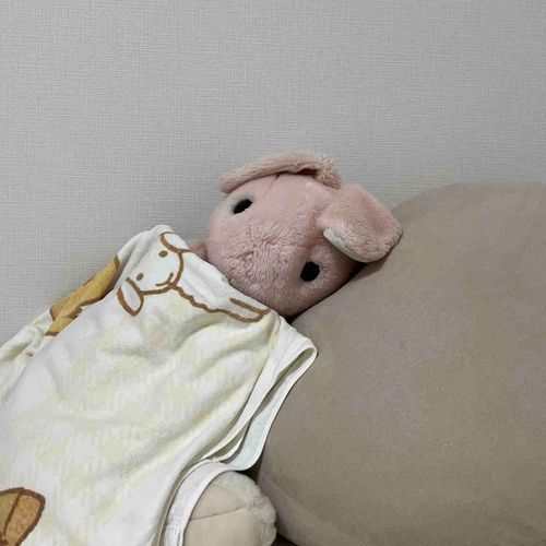 おはようももちゃん