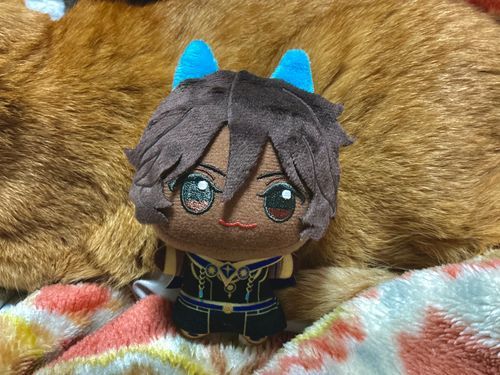 ジュナオがやってきたよ🐈