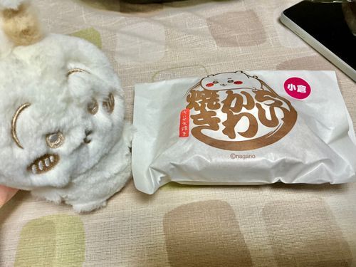 もらった