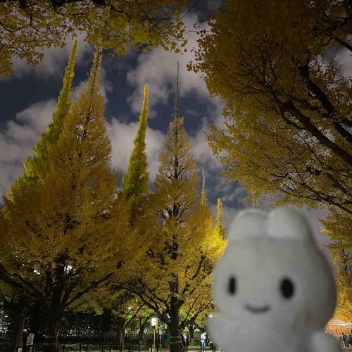 いちょう並木🍂