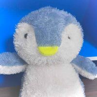 みぎめ