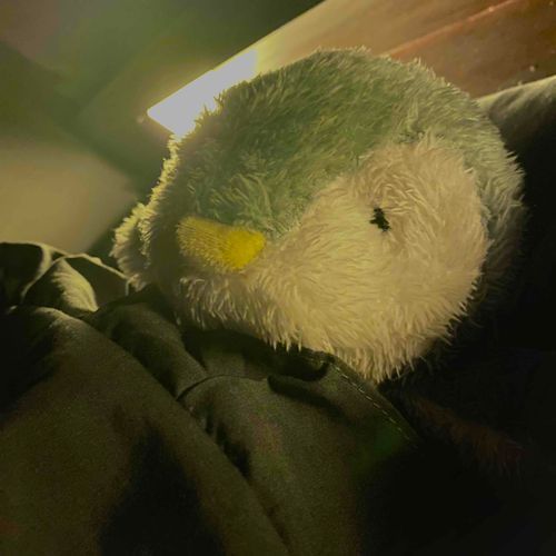 今夜はいっしょのお布団で、みぎめ