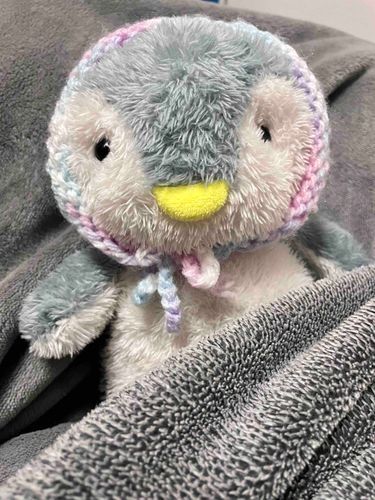 ちょっとおめかしした、みぎめ