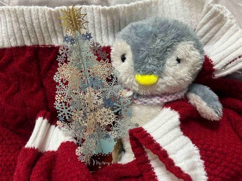 クリスマスと、みぎめ