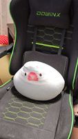 鳥おばさん