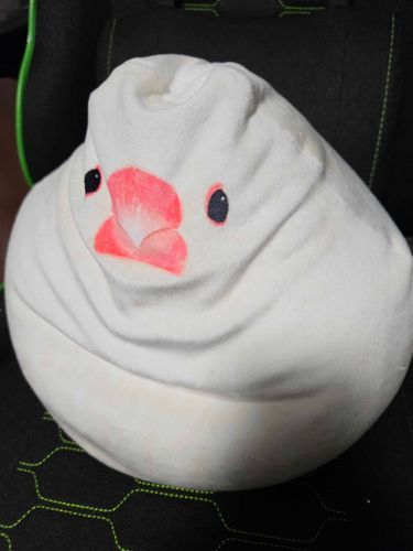 くたびれた鳥