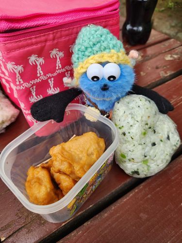おにぎりとからあげを持って公園に行ったよ🍙