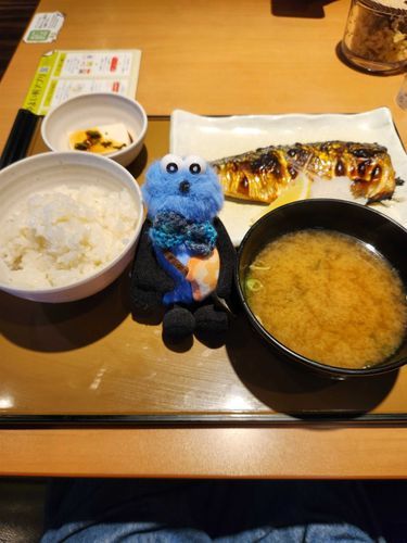 ひさしぶりにごはんを食べに行ったよ🍚サバの塩焼き定食🐟ごはんをおかわりしちゃった🤭