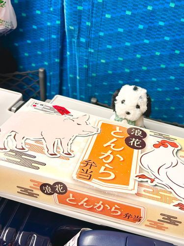 新幹線ってのは弁当を食べるための箱ですワン