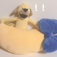 きいろいいぬ