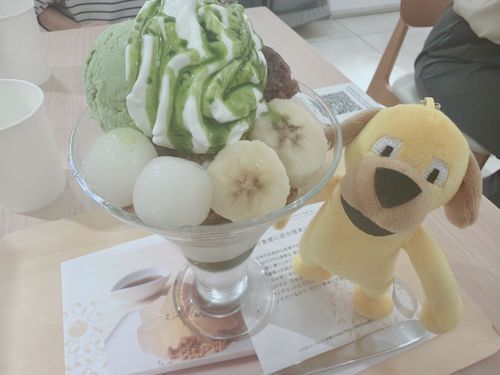 いぬ、抹茶パフェを食べる

🐶「これでミニサイズ……！？大きくない？」