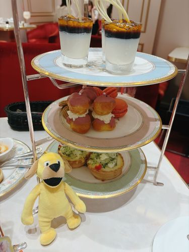 アフタヌーンティーに驚くいぬ
「これで半分なの……！？豪華だね✨️」