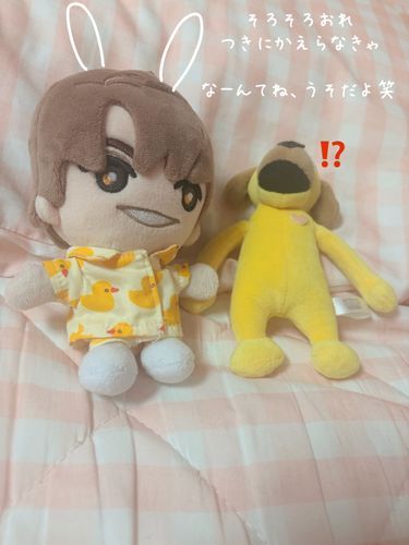 いぬ、ゆごぬにおつきみのひにうそをつかれる。
あれ？ゆごぬにみみがはえてるような……