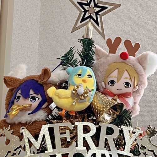 ともぬちゃんです。クリスマス会をやりました。ツリーのてっぺんにのぼりました。ひよこがこわかったです。