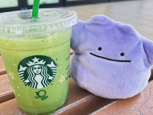 ちょっとひと息🌱