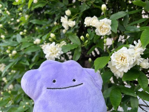 おはよう🌱