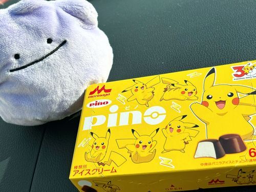 ピカチュウ見つけた⚡️