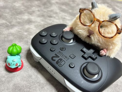 おヌシにゲームを教わります🎮