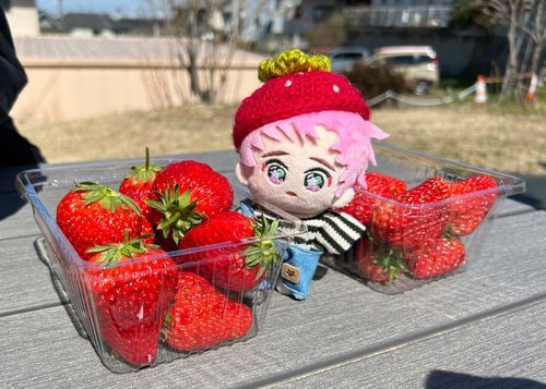 たくさん狩りました🍓🍓🍓