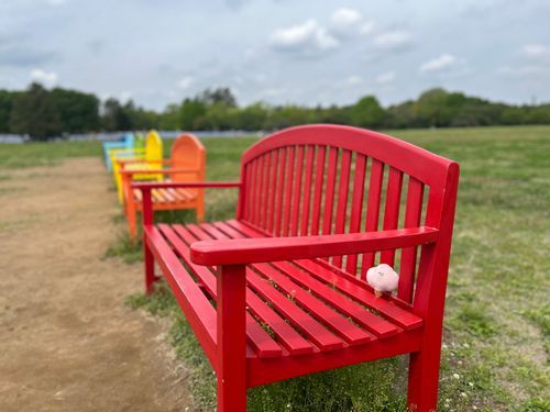 🌈🪑②