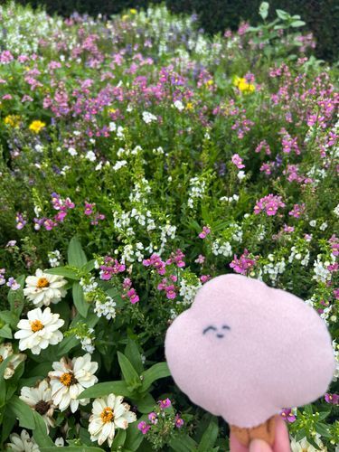 でずにーらんどのおはなばたけ