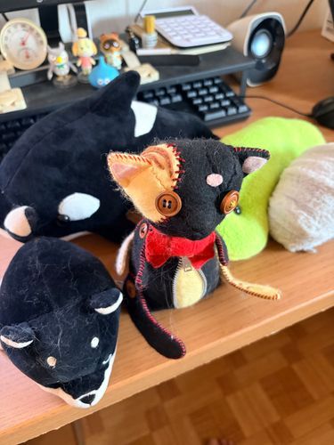 仲間たちだよー

ふわもこだよー