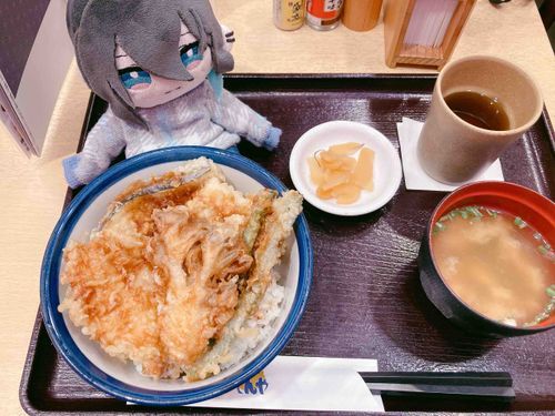 お昼の天丼。舞茸が美味しかった。でも下の方にナス入ってた(  ･᷄-･᷅ )