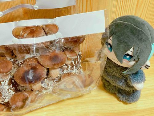 …どうするの、これ