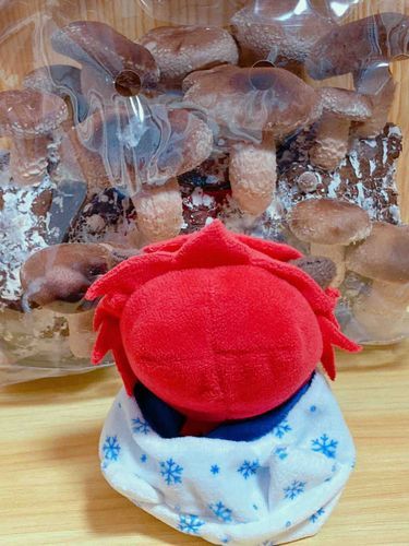 マスター、キノコかってきた。
これ、きいてない