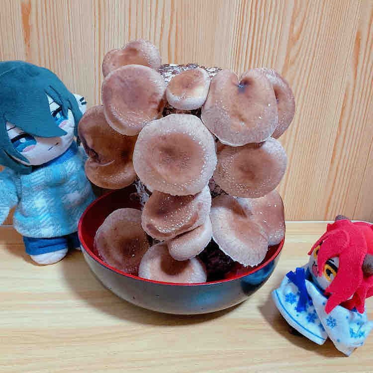 しゅうかく。にかあめ。
たくさん、そだった✨️