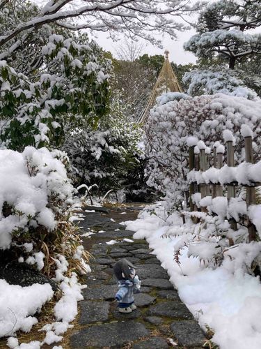 雪が積もったから写真撮りに連れて行かれた…
寒いから早く帰ろう…