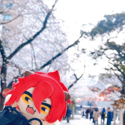 おはなみた！
